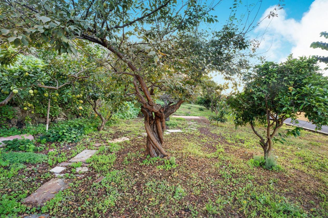 La Victoria de Acentejo Casa La Victoriaヴィラ エクステリア 写真